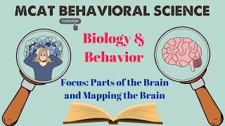 MCAT Behavioral Science: Chapter 1 - Biology and Behavior (2/4)
