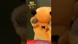 Sooty's feeling a little bit homesick 🤧 #shorts