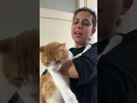 Altın fiyatlarını duyunca çidoloş