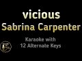 Vicious Karaoke Sabrina Carpenter Instrumental Lower Higher Male Original Key mp3