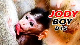 GREAT ... MILK ...!! JODY MUCH GROWN - STRONG & HEALTHY BY MILK MOMMY A LOT PROTEIN FEED NOT REJECT