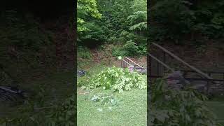 Summer project of 1026