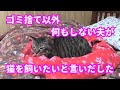 ♯67【猫のほのぼのする話】ゴミ捨て以外何もしない夫が猫を飼いたいと言いだした