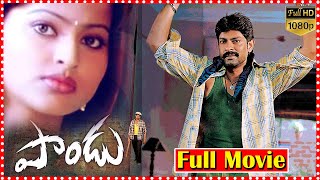 Pandu Super Hit Telugu Full Romantic Comedy Movie HD | Jagapathi Babu | Sneha | Telugu Cinemas