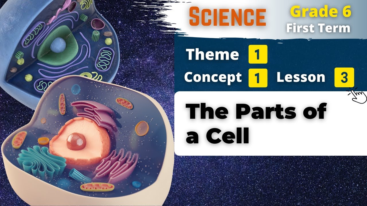 Cell 6 Science Grade 6 | The Parts of a Cell | Theme 1 - Concept 1 - Lesson 3 ...