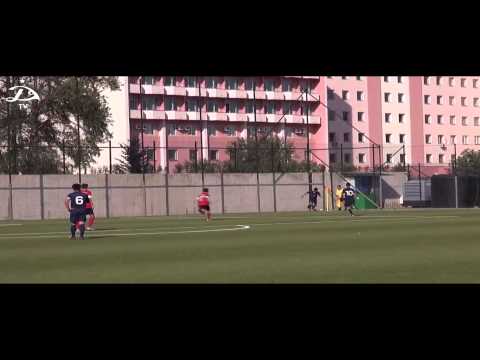 Archil Meskhi / არჩილ მესხი - 2013/2014