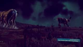 No Mans Sky   Weird Creatures 5
