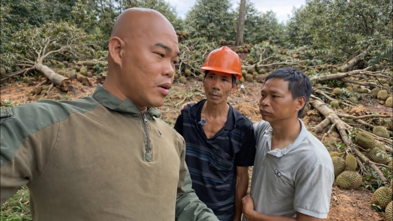 HÔM NAY THÉP & A7 LÊN LẠI VƯỜN SẦU RIÊNG ĐỂ KHAI BÁO MẤT TÀI SẢN GÌ SAU TRẬN LŨ QUÉT LỊCH SỬ