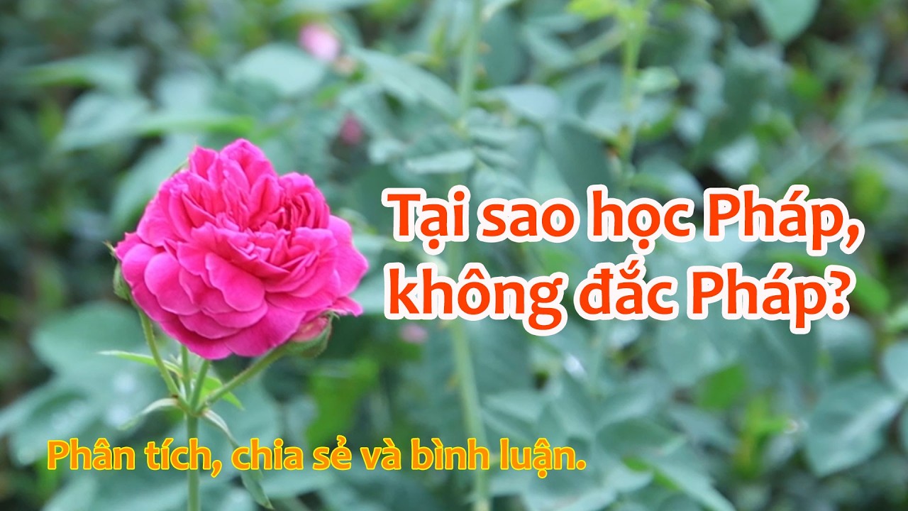 Tại sao học Pháp, không đắc Pháp?