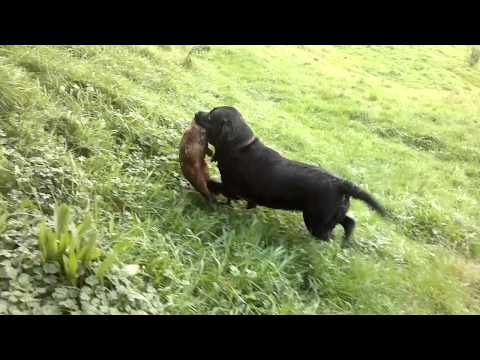 VE110623001.mp4