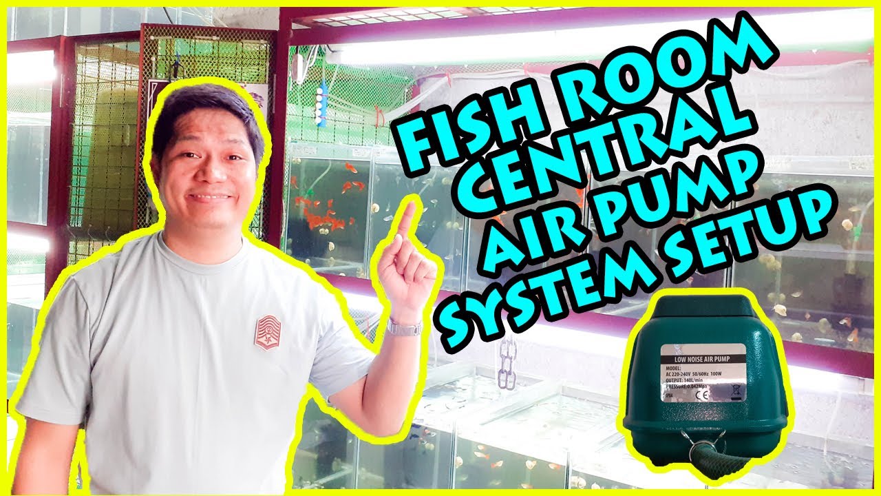 How to Setup a Simple & Easy Aeration System for Your Fish Room - Centralized Air Pump System Setup