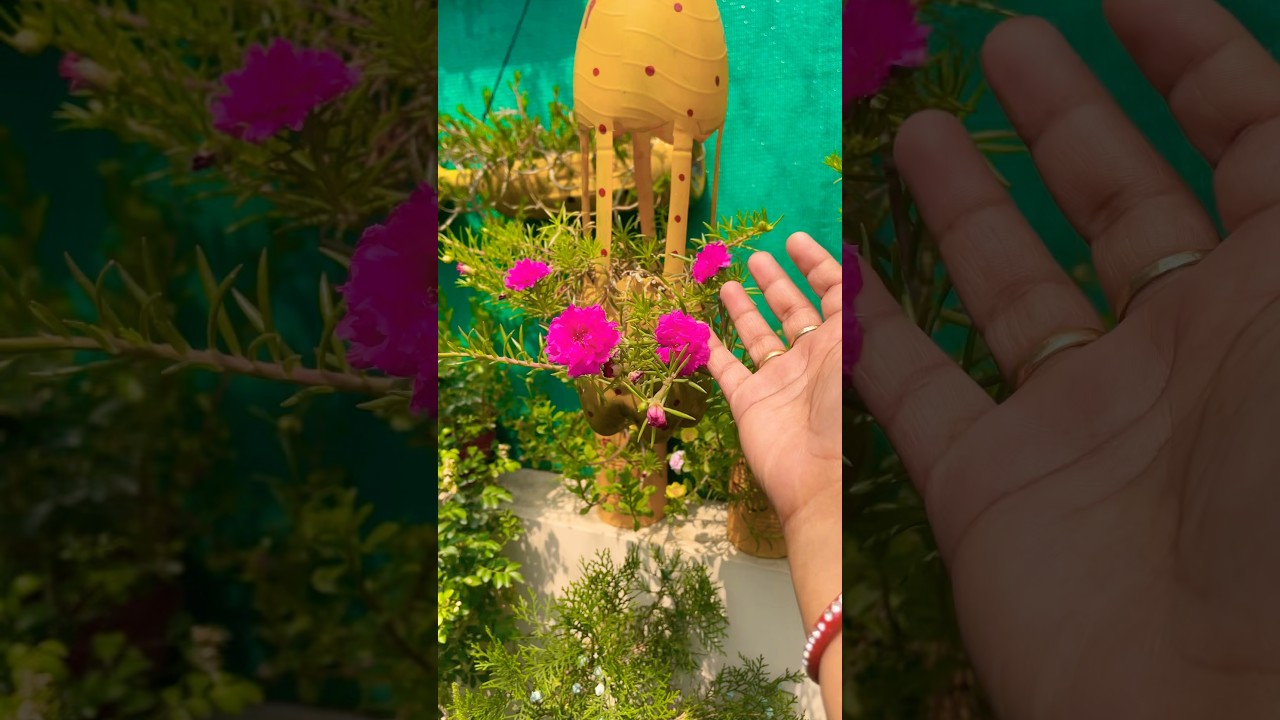 The beauty of rural life 