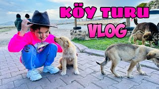 KÖY TURU VLOG !! BU KÖYDE HAYVANLAR İLE TANIŞTIK !!