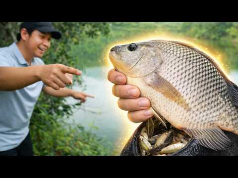 Fishing Trap Big Catch – Unexpected Catch and Cook