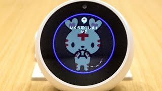 声だけで被災地に寄付　アマゾンアレクサで