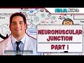 Myology | Neuromuscular Junction | Neuromuscular Transmission | Part 1