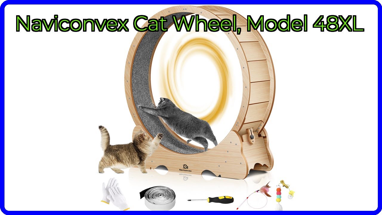 REVIEW (2026): Naviconvex Cat Wheel, Model 48XL. ESSENTIAL details