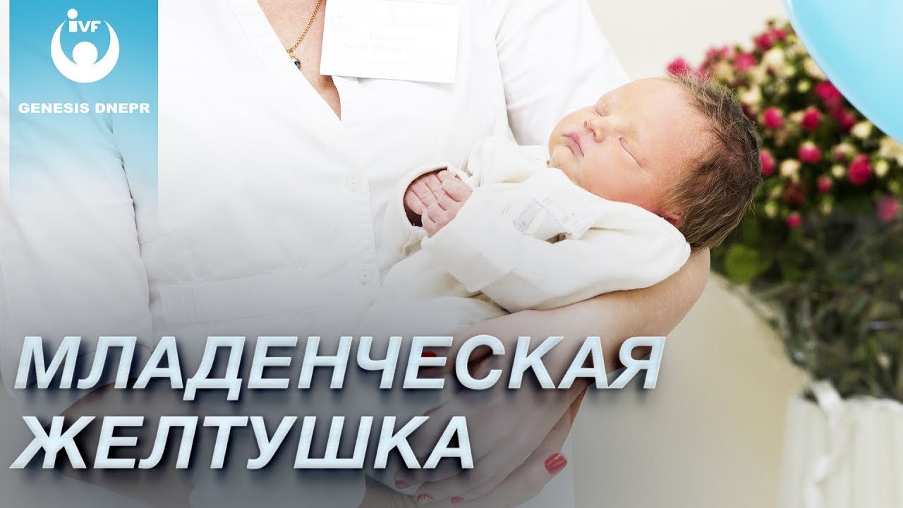 Младенческая желтушка: причины, диагностика и способы лечения. Врач Берелет Анна