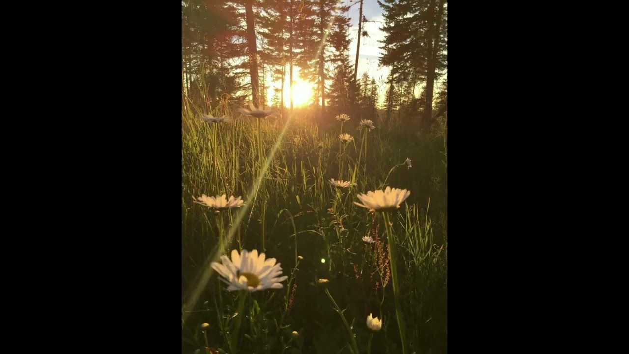 [Free] Dominic Fike x Guitar Chill x Mac Miller Type Beat - 