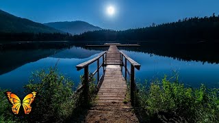 ✅ 11-Hour Cricket Sounds at Night | Relaxing White Noise for Sleep, ASMR & Stress Relief
