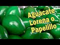 AGUACATE LORENA O PAPELILLO