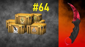 Opening 1 Case Everyday Until I Get a Knife #64