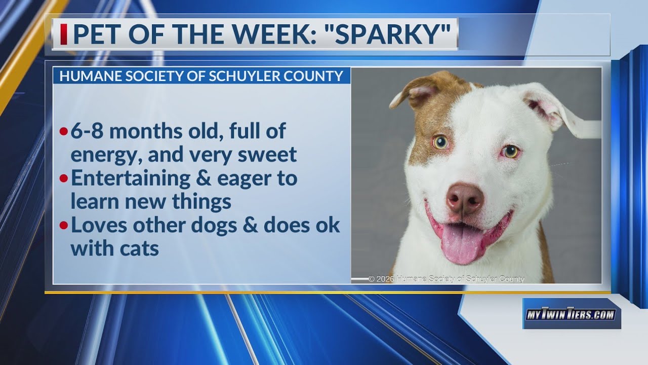 Pet of the Week: Sparky, Humane Society of Schuyler County
