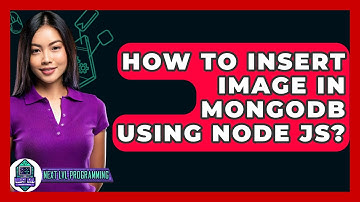 How To Insert Image In MongoDB Using Node JS? - Next LVL Programming