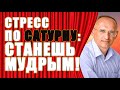 СТРЕСС ПО САТУРНУ: работы нет, семьи нет, тяжелая болезнь, одиночество, война, старость. Торсунов