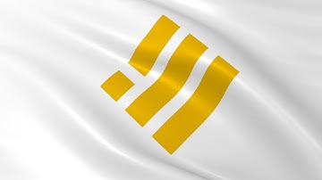 Flag of Binance USD (BUSD) waving in the wind - Crypto Flag logo animation