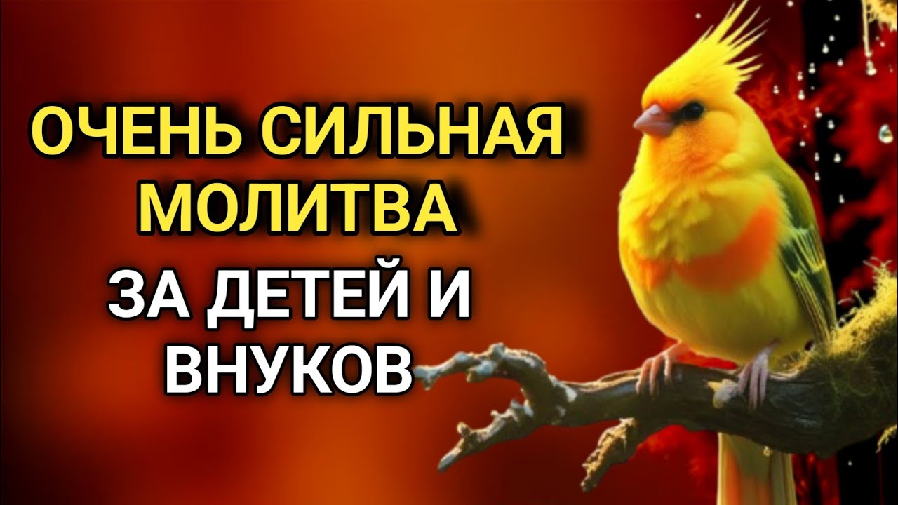 МОЩНАЯ МОЛИТВА ЗА ДЕТЕЙ И ВНУКОВ СОХРАНИ ЭТУ МОЛИТВУ И ЧИТАЙ КАЖДЫЙ ДЕНЬ УТРОМ И ВЕЧЕРОМ 🤲✨💯