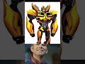 My own bumblebee designs ranking