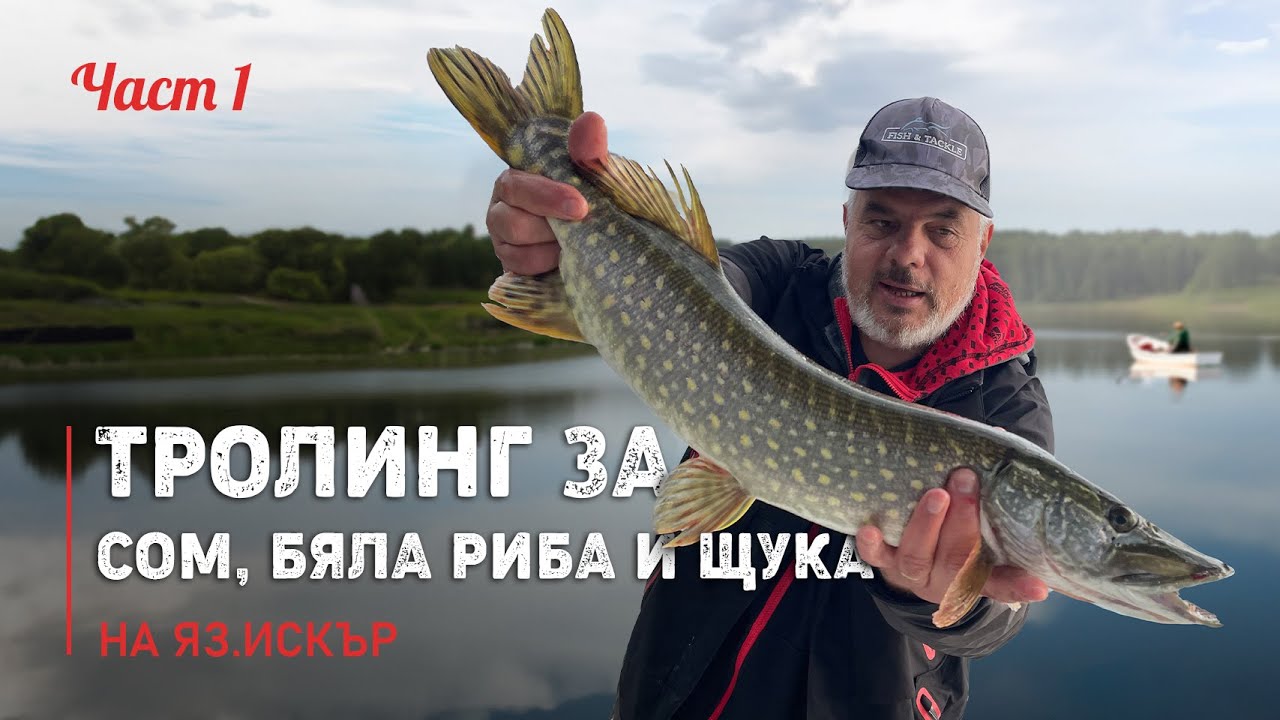 ТРОЛИНГ на яз. Искър за СОМ, БЯЛА РИБА и щука - 1 част