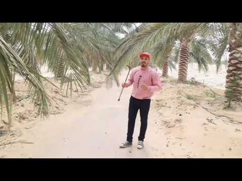 مسافات زراعة النخيل البرحى