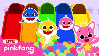 あそびばでサメのかぞくとかくれんぼしよう🔍 | ベイビーシャーク🦈みっけ！ | 子どもの動画 | ベイビーシャークとピンキッツ