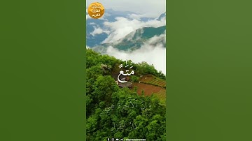 سورة غافر - آية ٣٩
