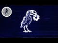 鳥と話せたら