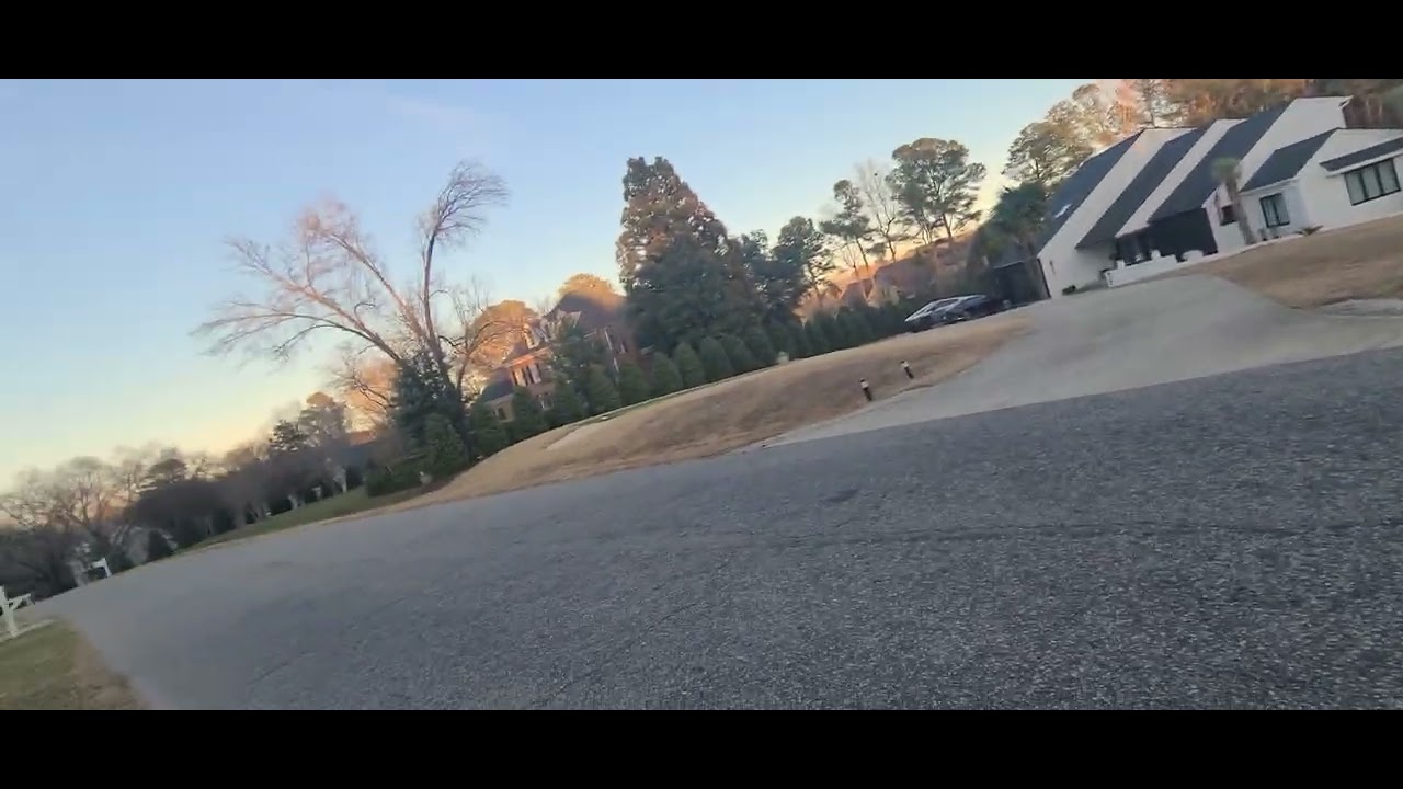 Canadian geese Getting\nScared and flying away