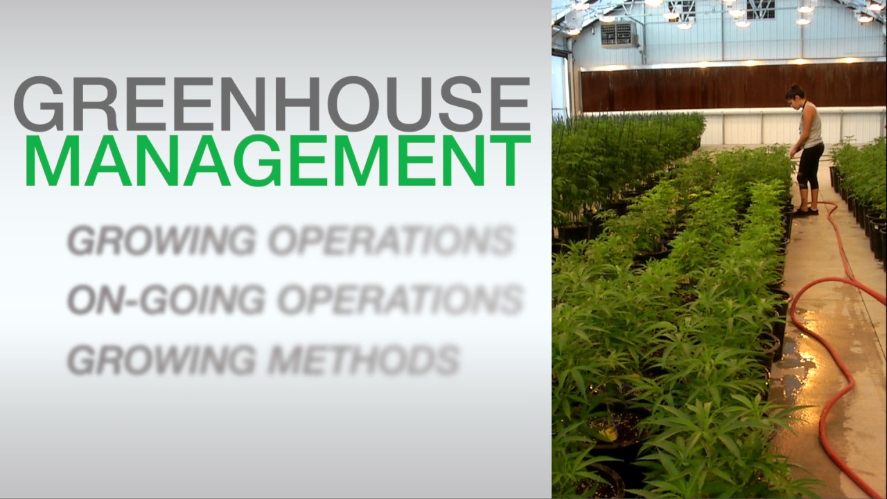 Nexus Webinar Series