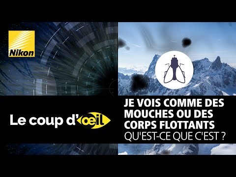 Vidéo: Qu'est-ce qu'une voile flottante ?