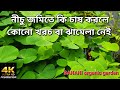 What should i cultivate in the low land cultivation method of sushni vegetables vegetables without money low disturbance cultivation 4k