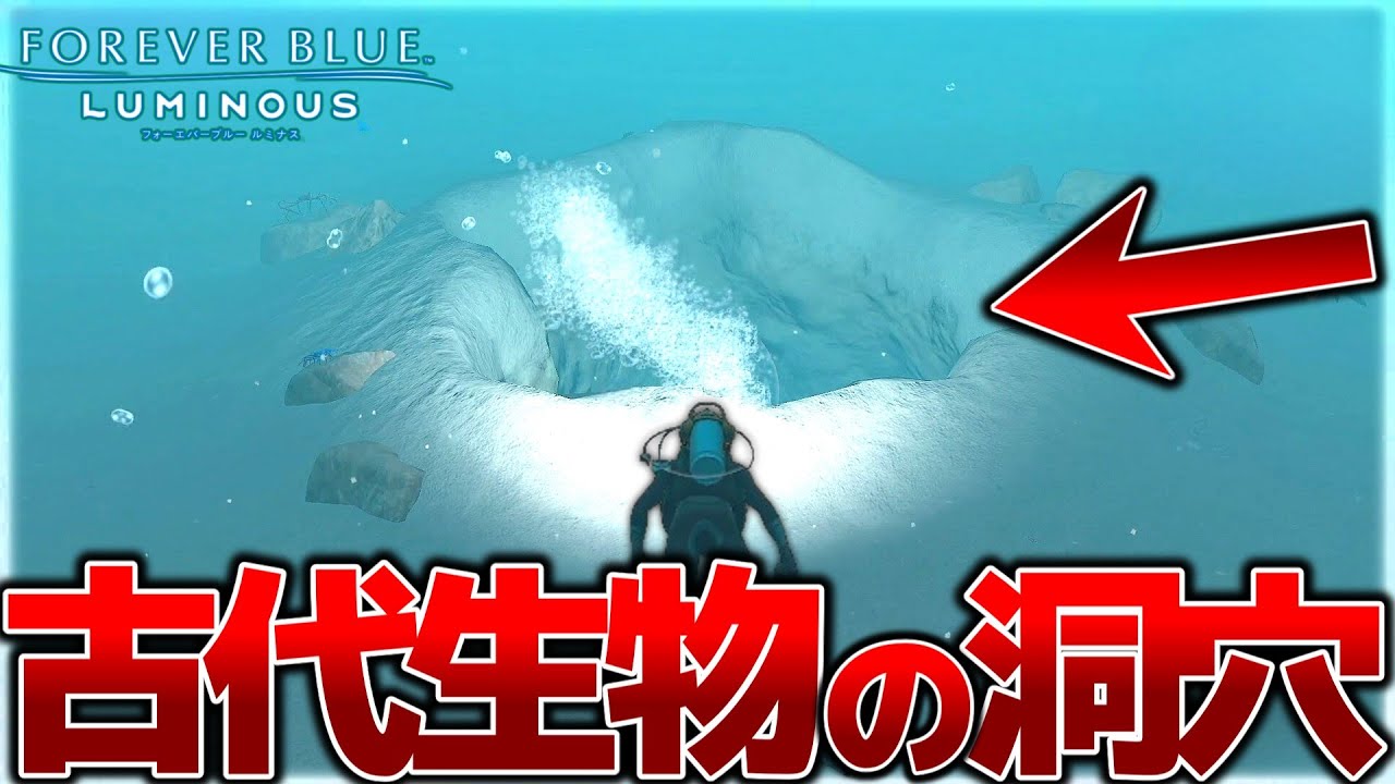 FOREVER BLUE LUMINOUS