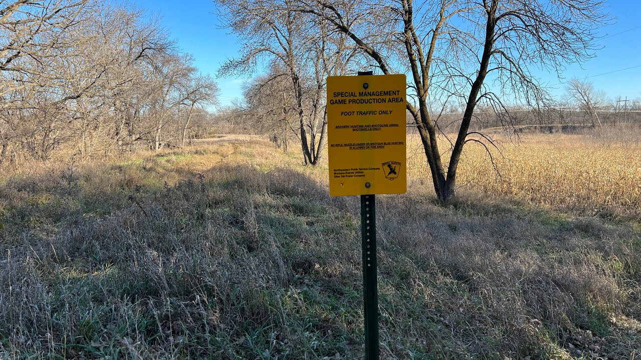 South Dakota public land buck under 10 yards i have the full video
