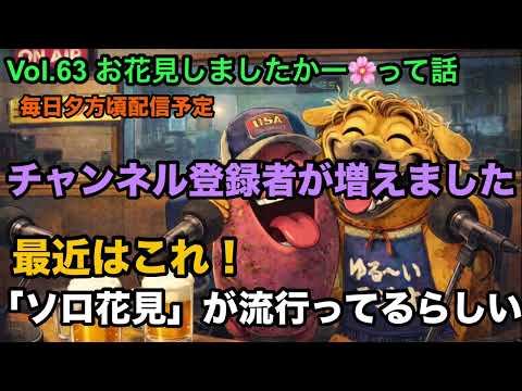 #63 お花見しましたかーって話【チャンネル登録者増加】#とさラジ #ラジオ #bgm #お花見 のサムネイル