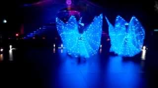 LED Butterfly performance