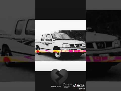 شعر مع ددسن 