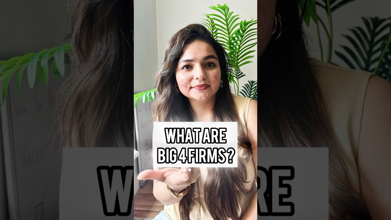 Big 4 Firms Explained in 40 Seconds! 