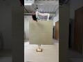 【A dog puts a wig on a moving mannequin.】#dog #challenge #funny