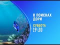 Finding Dory Disney Channel Russia Promo November 2020