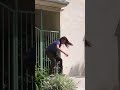 Birdhouse's "Beautiful :Mutants" #skatetribune Video
